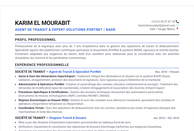handle your moroccan portnet procedures, customs clearance, and transit